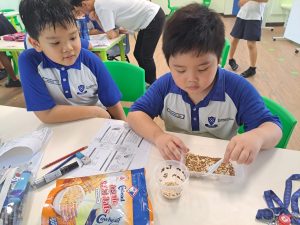 Student feeding mealworms rolled oats.